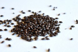 Солод ячменный жженый Roasted barley Castle Malting