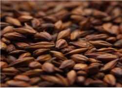 Солод шоколадный Viking Malt