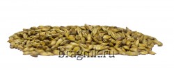 Солод ячменный Munich type 1 Viking Malt